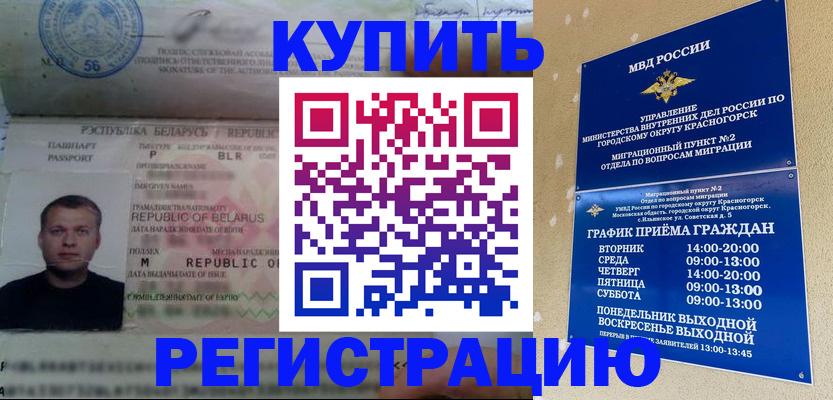 прописка законно в Почепе